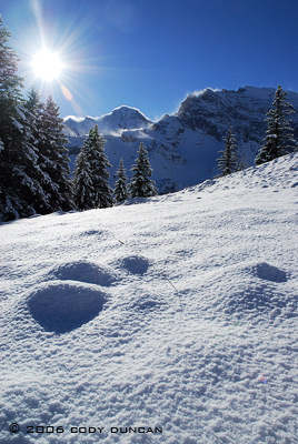 © cody duncan photography.  snowy mountain peaks, Bernese alps, Switzerland