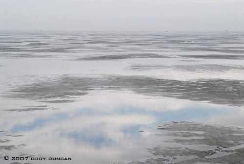 © cody duncan photography.  frozen curonian lagoon, lithuania