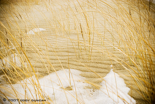 © cody duncan photography.  frozen sand dune on Curonian Spit, lithuania