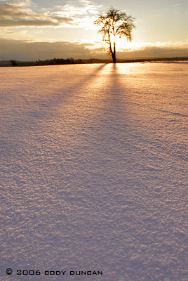 © cody duncan photography. sunset in winter snow, Germany