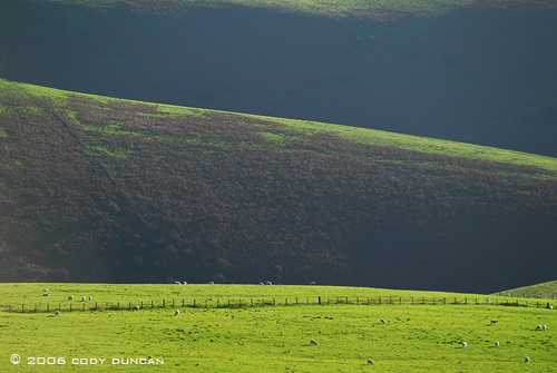 © Cody Duncan photography.  Green rolling hills of sheep pasture, wales