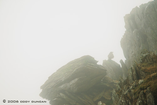 © Cody Duncan photography.  Foggy rocks in Snowdonia