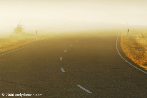 Bright mist on road at sunrise. © Cody Duncan Photography