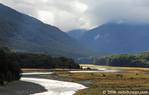 morning light over river in Haast pass, New Zealand.  © Cody Duncan Photography