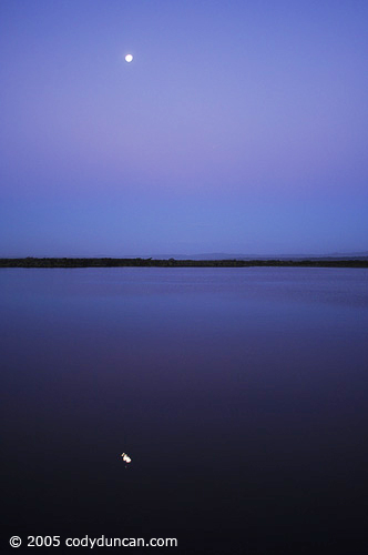 New Zealand Landscape photo: Okarito lagoon and reflection of full moon.  © Cody Duncan Photography