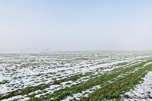 Cody Duncan travel photography: snowy farm field in Auerbach, Germany. © 2008 Cody Duncan Photography