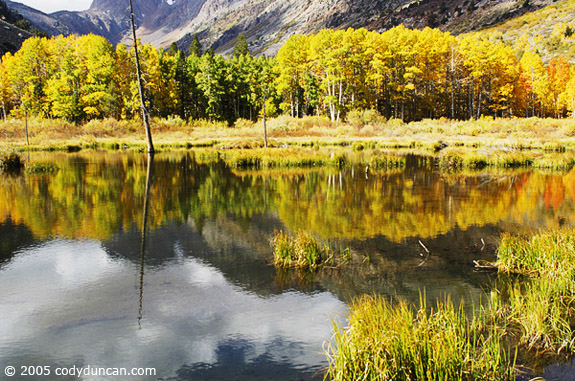 Cody Duncan Stock Photography: Autumn colored aspen trees reflecting in lake, Sierra Nevada Mountains, California. © Cody Duncan photography