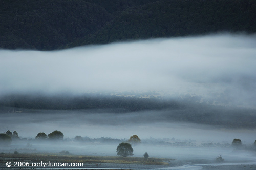 Stock travel Photo: Morning mist among trees in Arthur’s Pass national park, New Zealand. © Cody Duncan photography