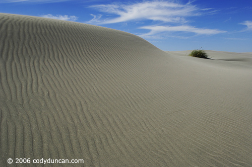Stock travel Photo: sand dunes of Farewell Spit, New Zealand. © Cody Duncan photography