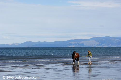 Stock travel Photo: Woman walking horse along beach in Golden Bay, New Zealand. © Cody Duncan photography