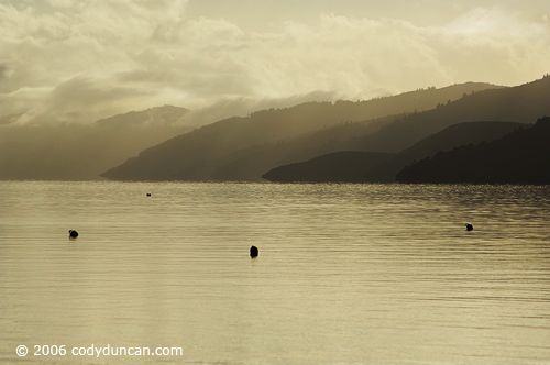 Stock travel Photo: Reflections in Marlborough sounds, New Zealand. © Cody Duncan photography