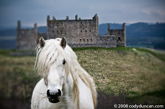 Cody Duncan Stock Photography: White horse and Ruined Building, Scotland. © 2008 Cody Duncan Photography