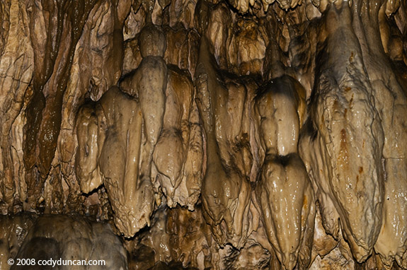 Germany caving photo: Limestone cave, Franconia, Germany.  Cody Duncan Photography
