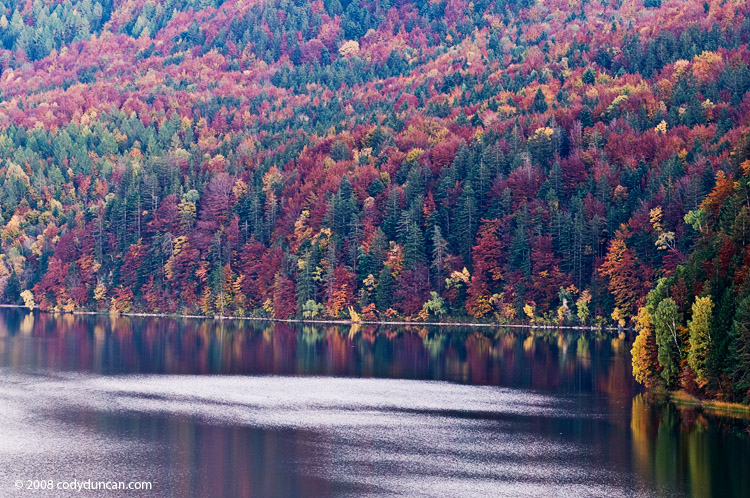 Germany stock photo: Weissensee lake with Autumn color trees, Allgäu, Bavaria, Germany