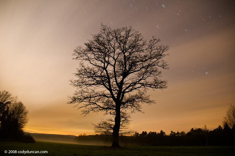 Cody Duncan travel stock photography: Leafless oak tree at night with star trails, Bavaria, Germany