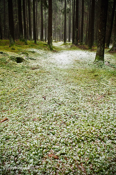 Germany landscape stock photo: Naturpark Fränkische Schweiz-Veldensteiner Forst in winter, Bavaria, Germany. Cody Duncan Photography