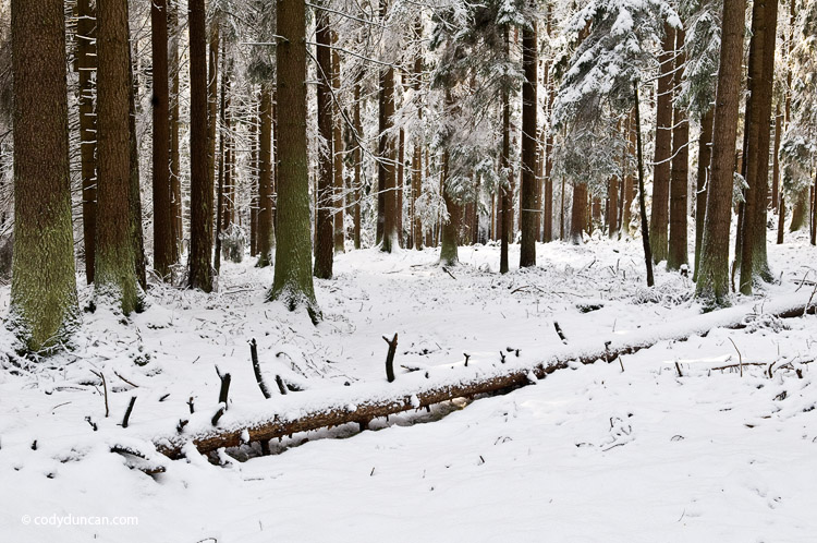 Landscape stock photo: snow covered forest, Oberpfalz - Bavaria, Germany
