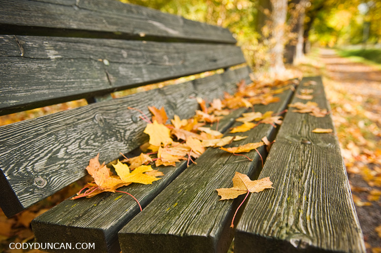 Wooden park bench with autumn leaves